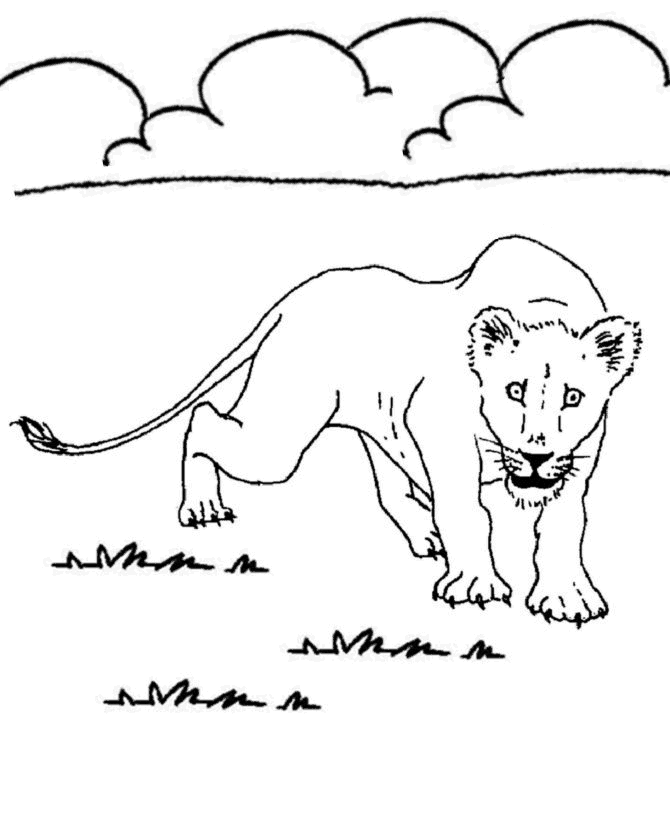 animals pictures for colouring. Animal Coloring Pages - Lion
