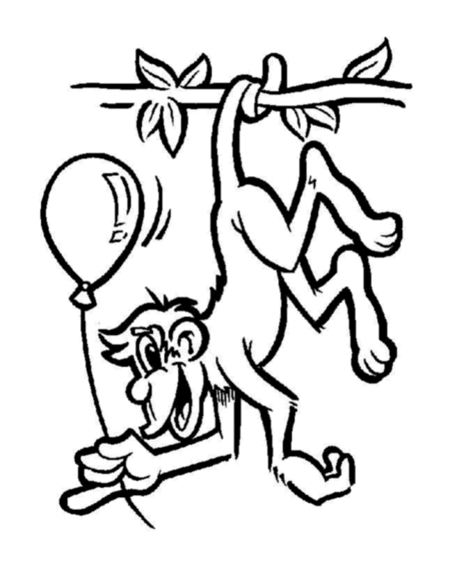 animals pictures for colouring. Animal Coloring Pages - Monkey