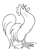 Coloring Pages